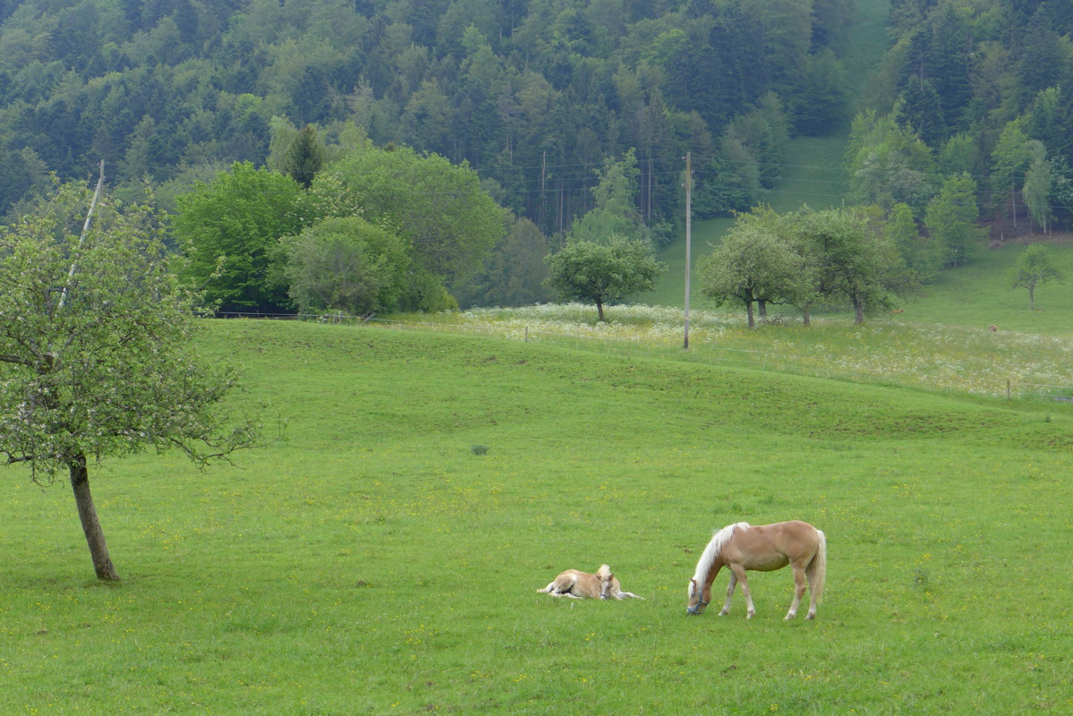 p1000067.jpg