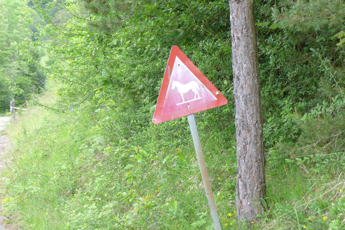 p1000068.jpg