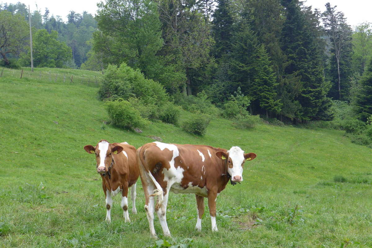 p1000070.jpg