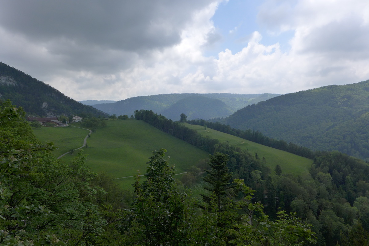 p1000074.jpg