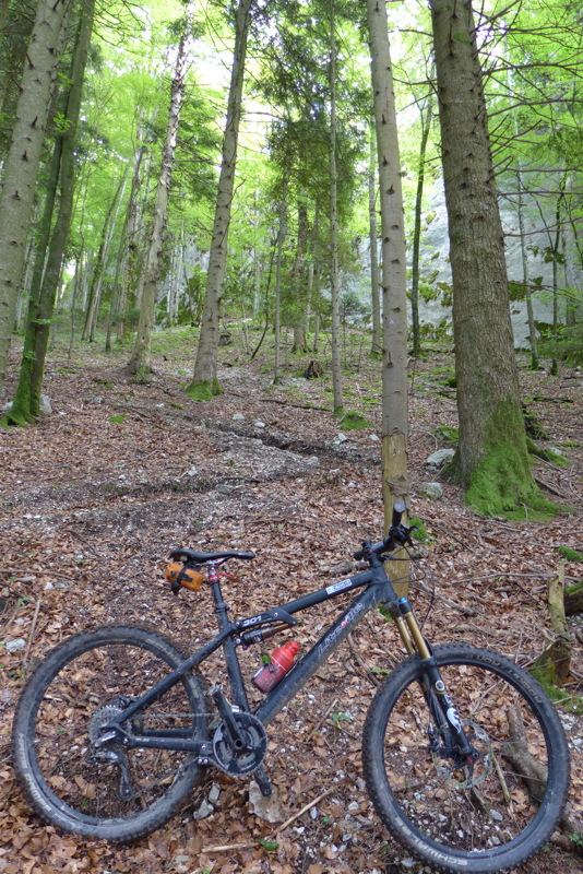 p1000076.jpg