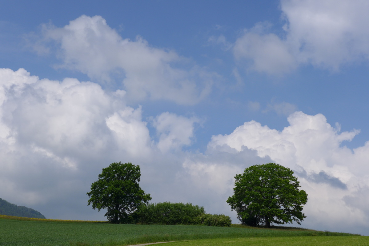 p1000080.jpg