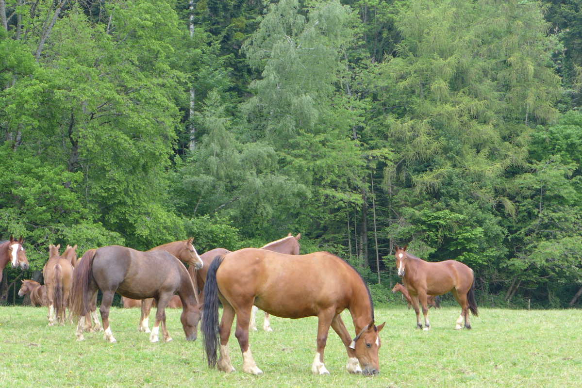 p1000082.jpg