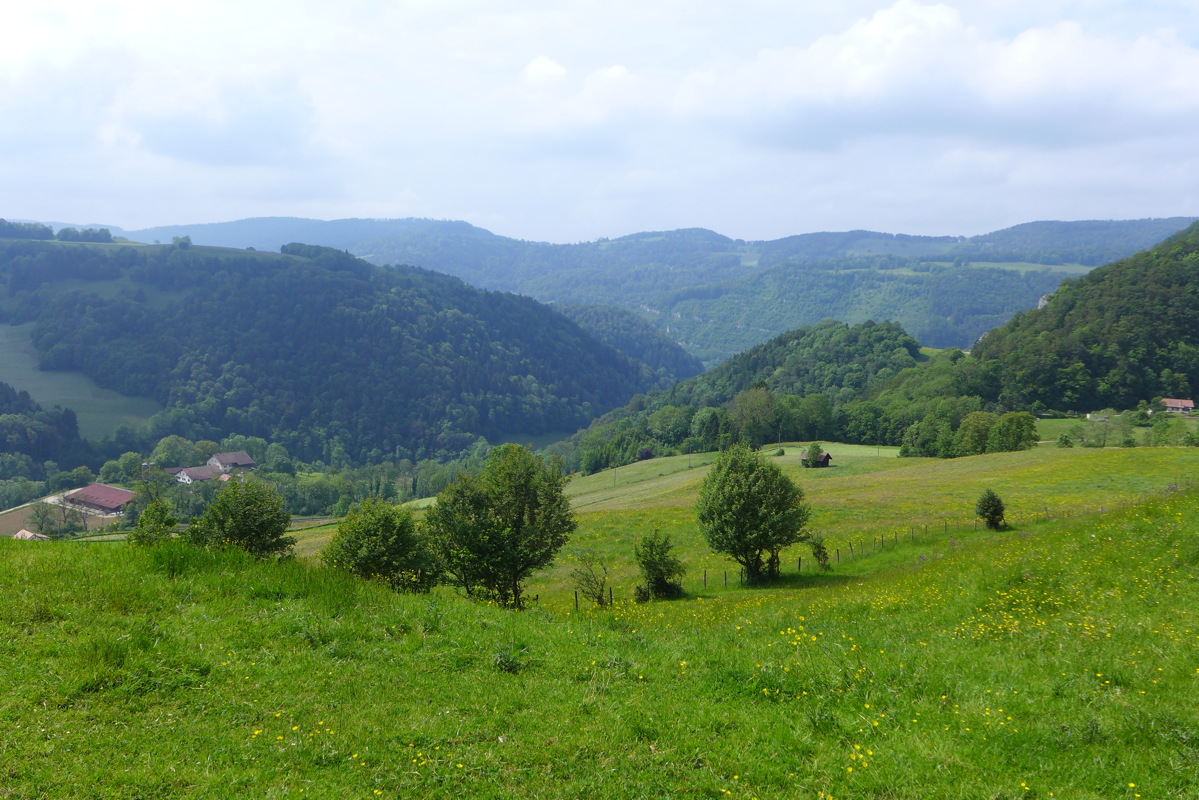p1000085.jpg