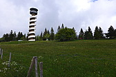 p1000063.jpg