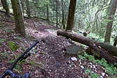 p1000066.jpg