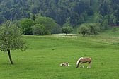 p1000067.jpg
