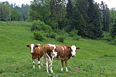 p1000070.jpg