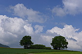 p1000080.jpg