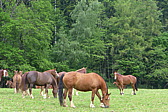 p1000082.jpg