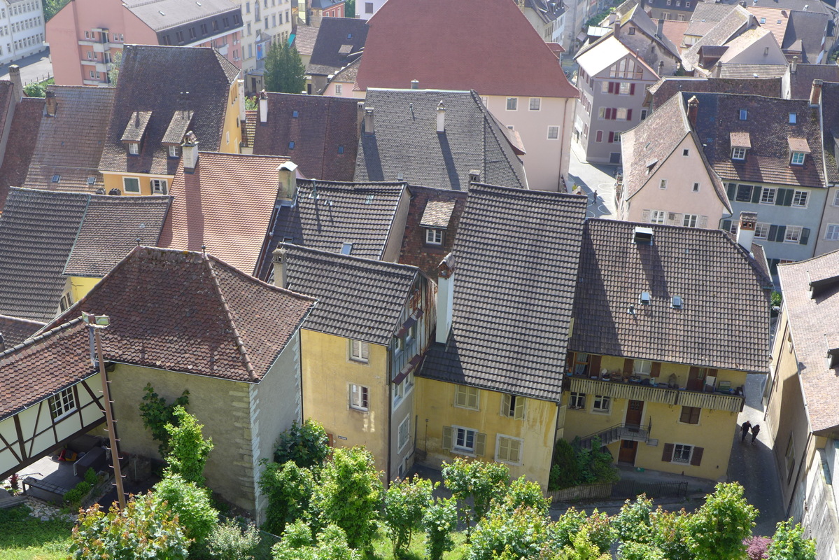 p1000111.jpg
