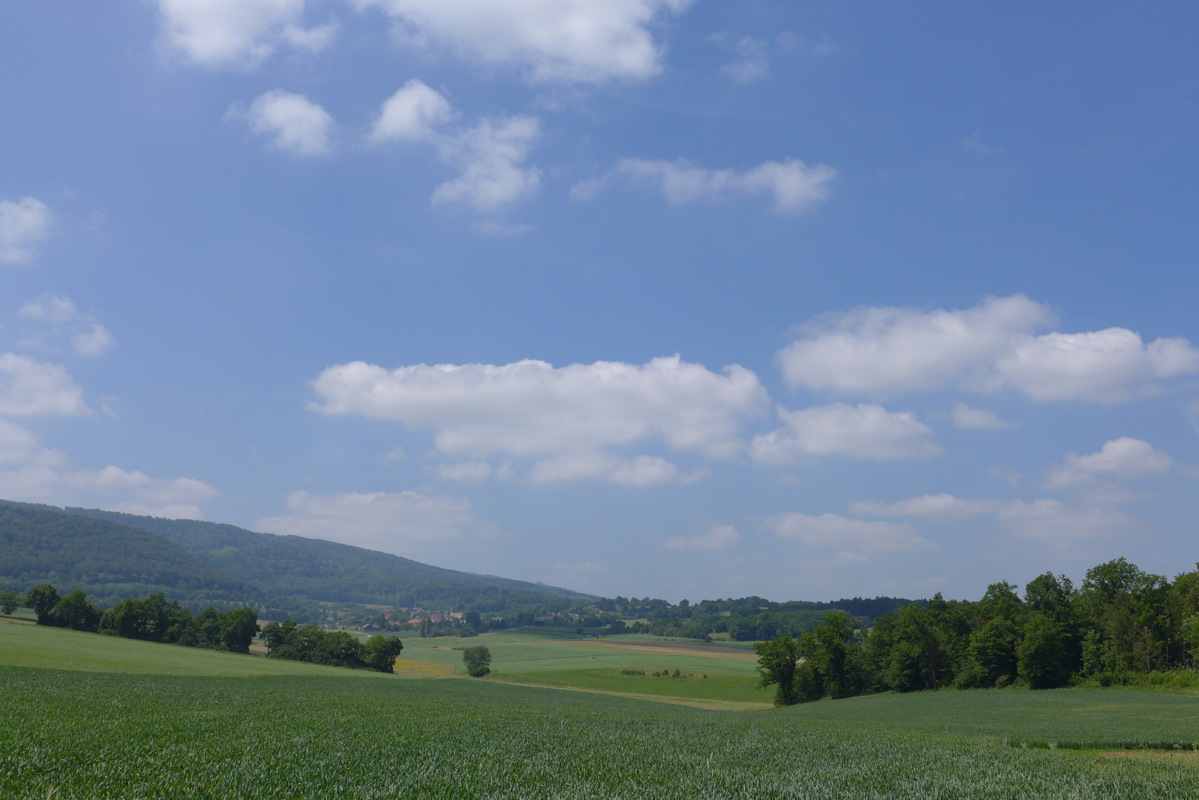 p1000124.jpg