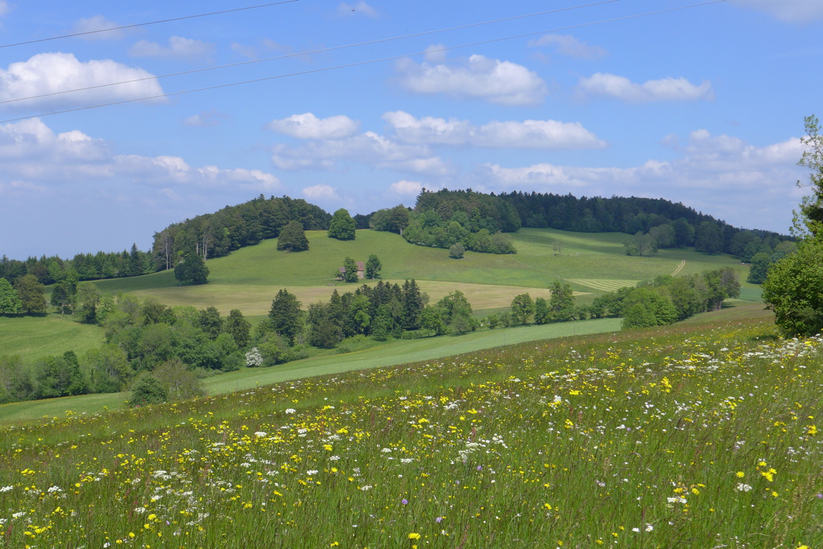 p1000132.jpg