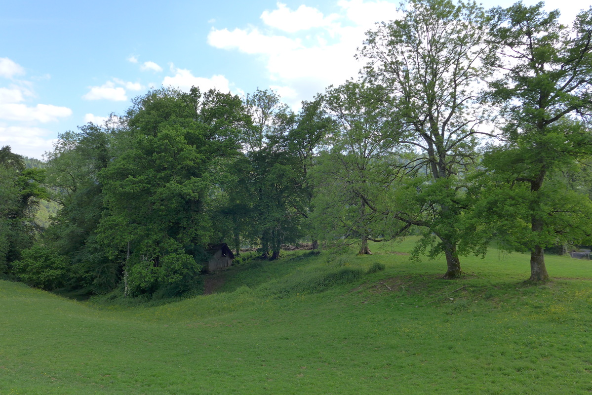p1000133.jpg