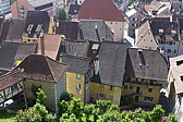 p1000111.jpg