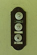 p1000118.jpg