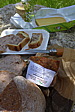 p1000130.jpg