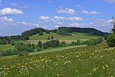 p1000132.jpg