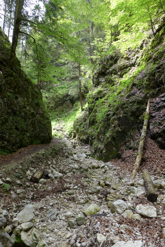 p1000138.jpg