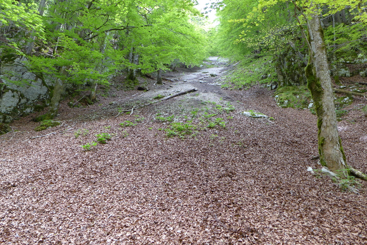 p1000139.jpg