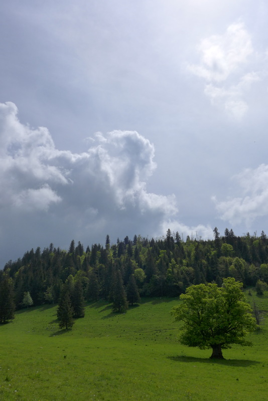 p1000142.jpg