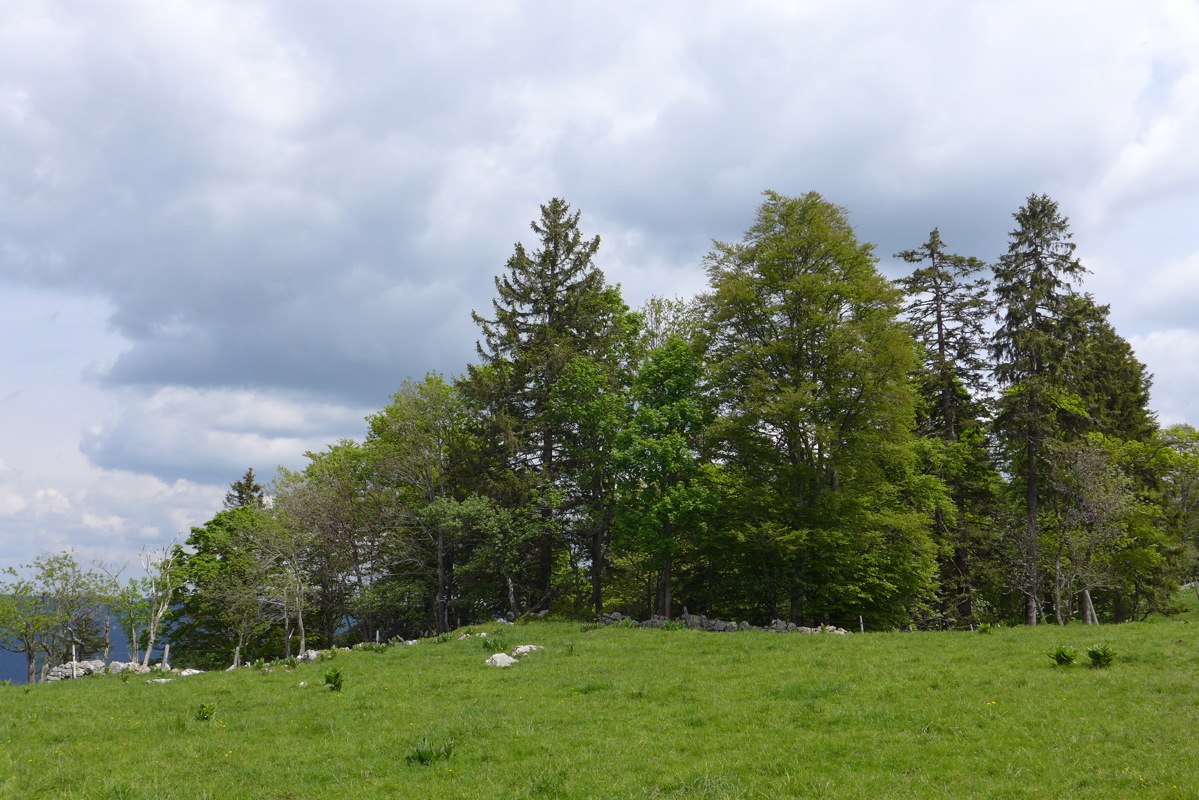 p1000144.jpg