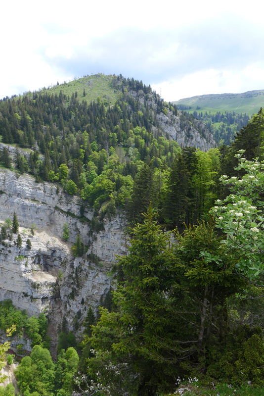 p1000145.jpg