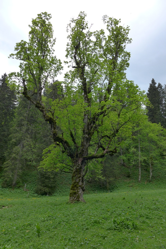 p1000146.jpg