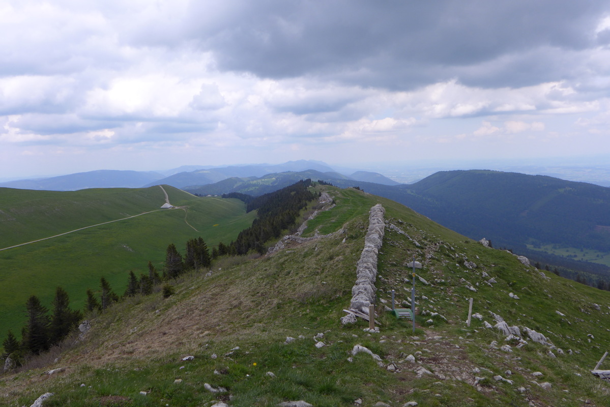 p1000147.jpg