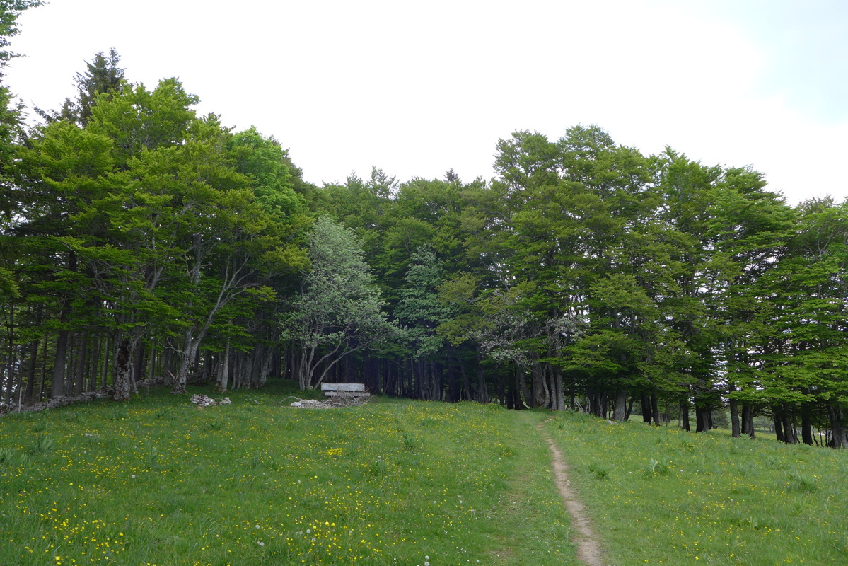 p1000148.jpg