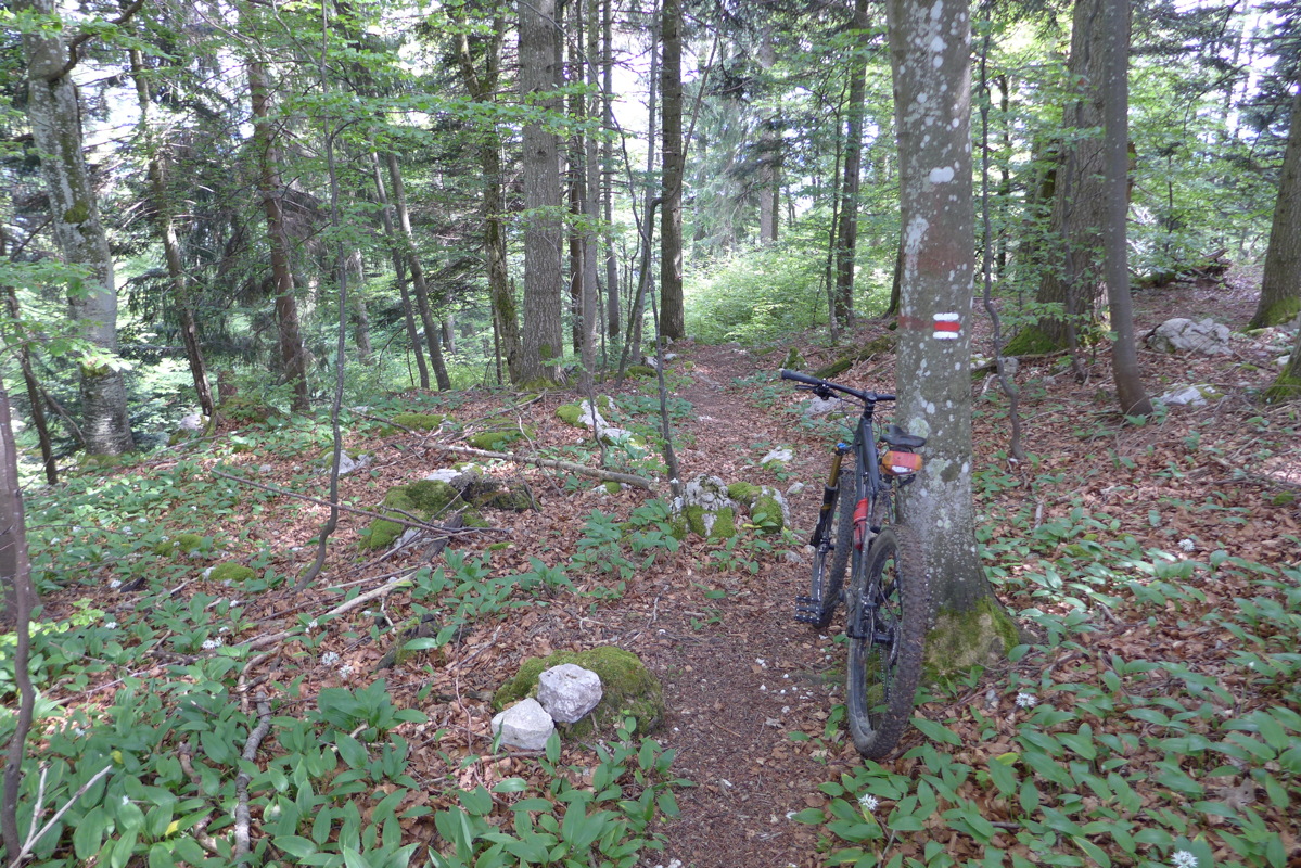 p1000150.jpg