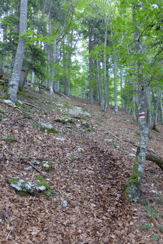 p1000151.jpg
