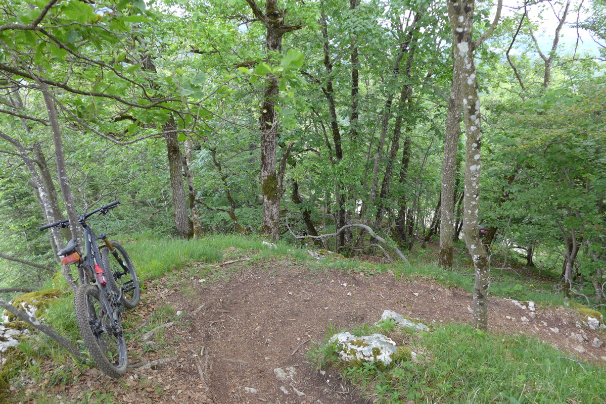 p1000152.jpg
