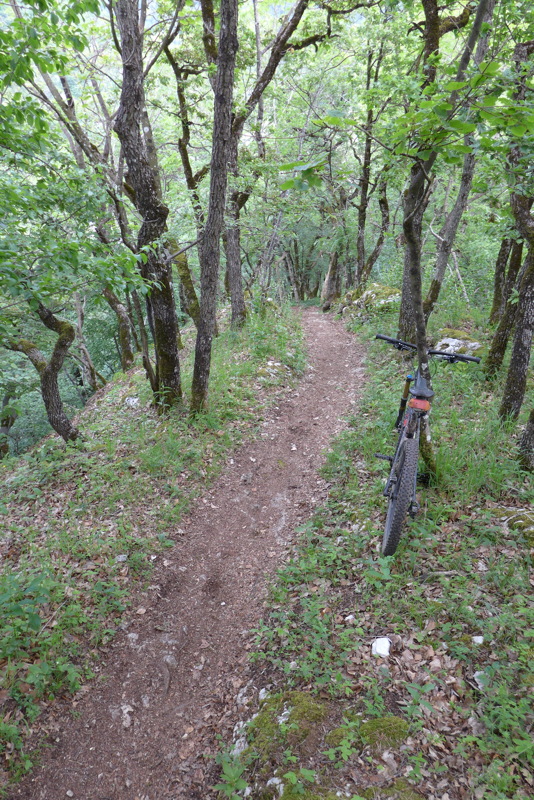 p1000153.jpg