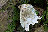 p1000136.jpg