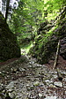 p1000138.jpg
