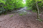 p1000139.jpg