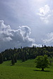 p1000142.jpg