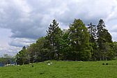 p1000144.jpg