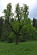 p1000146.jpg
