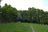 p1000148.jpg