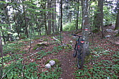 p1000150.jpg