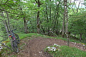 p1000152.jpg