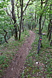 p1000153.jpg