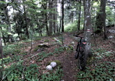 Chasseral