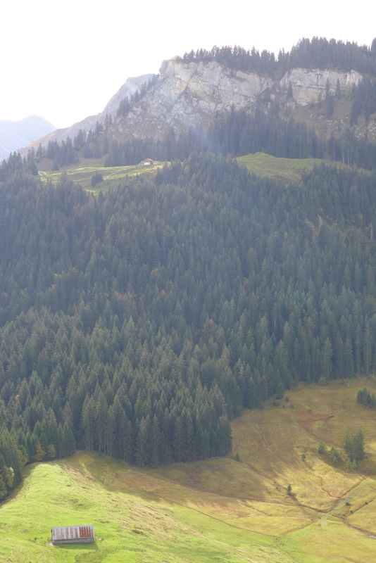 p1010251.jpg