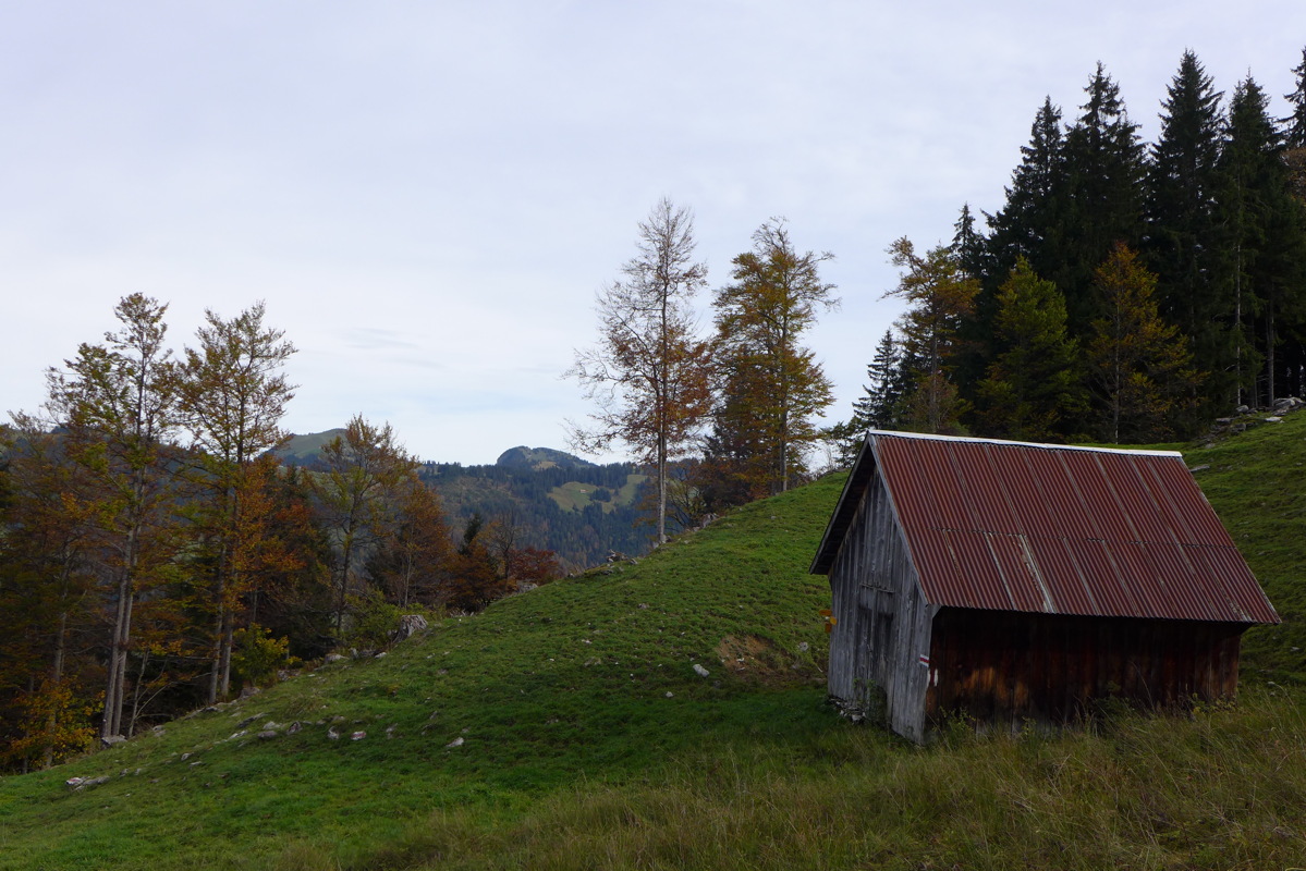 p1010254.jpg