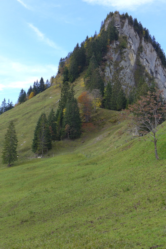 p1010260.jpg