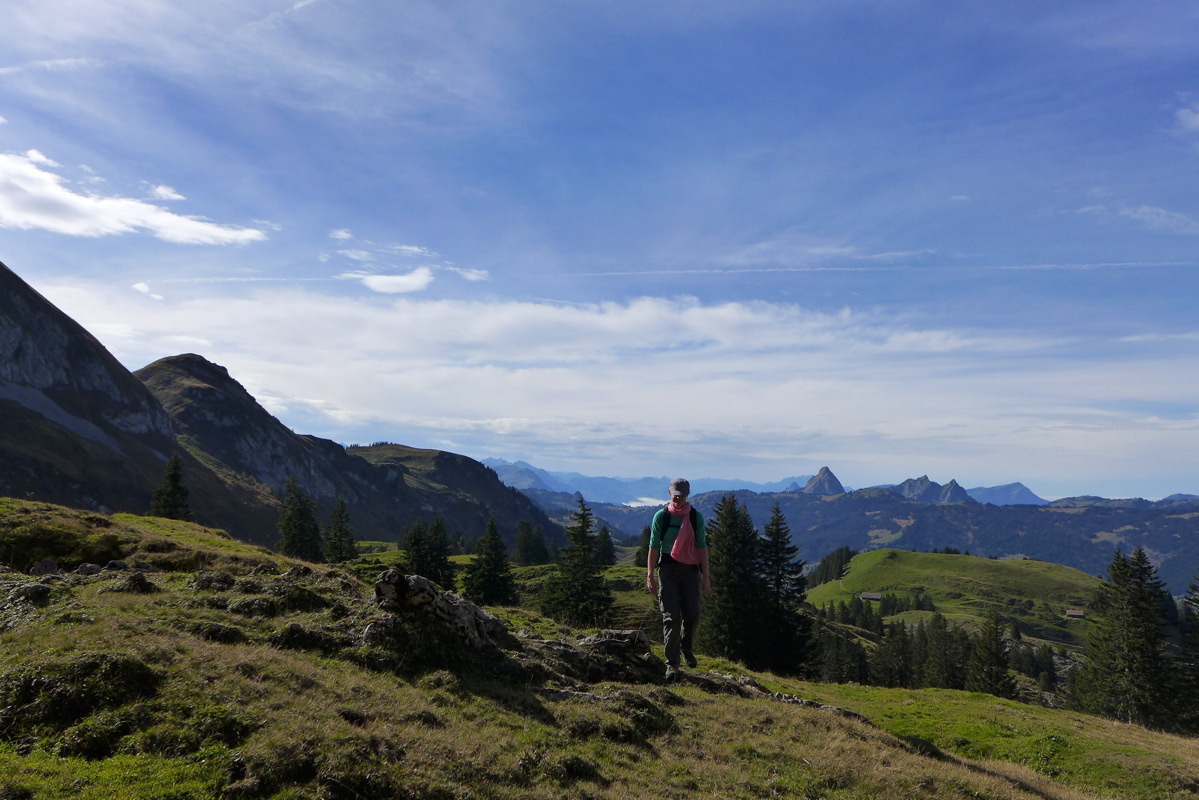 p1010270.jpg