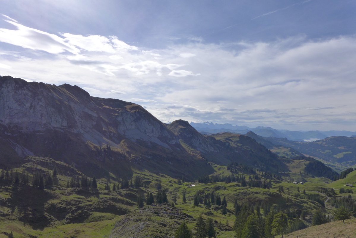 p1010273.jpg